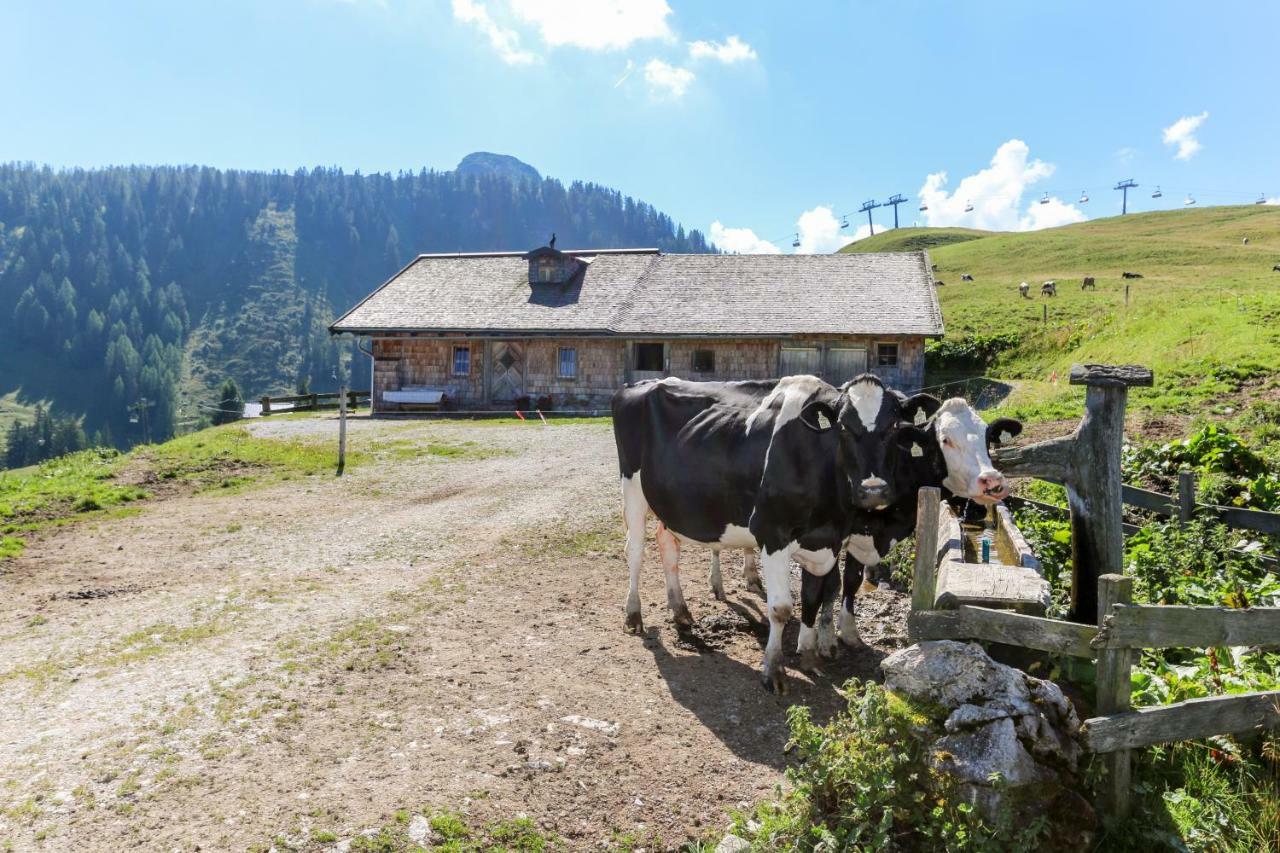 Muellerkaser Lofer Exterior foto